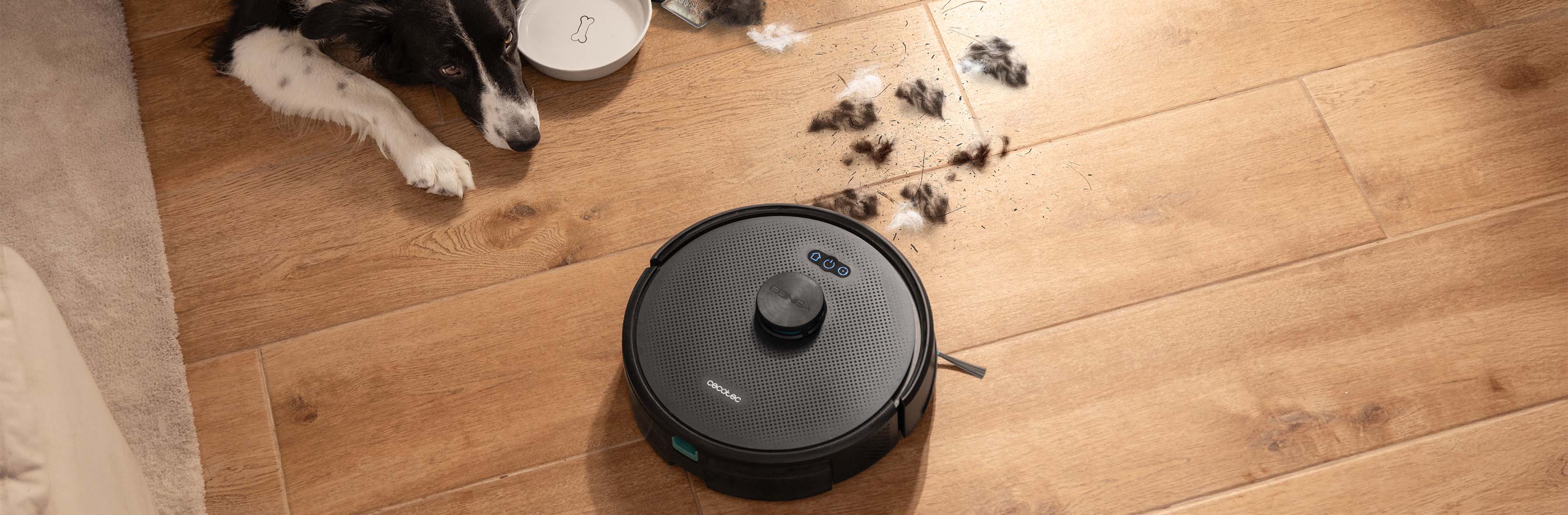 Product Banner Single